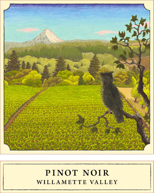 Raptor Ridge Pinot Noir Willamette Valley 2022 Wine Rating Wine